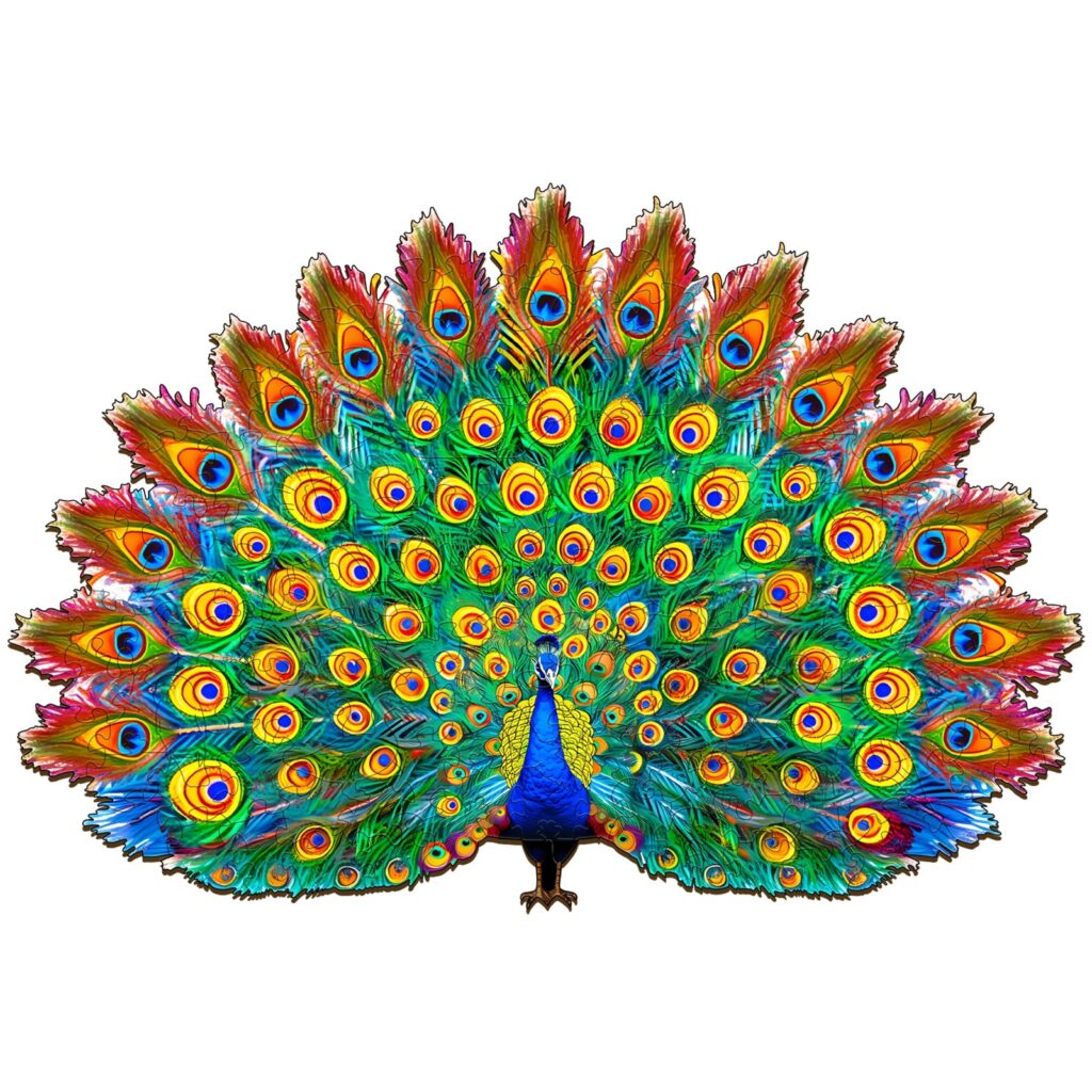Wooden Jigsaw Puzzle-Beautiful Peacock 66d5527425ff7
